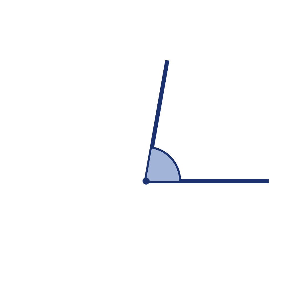 Angle — 80° (Acute Angle)