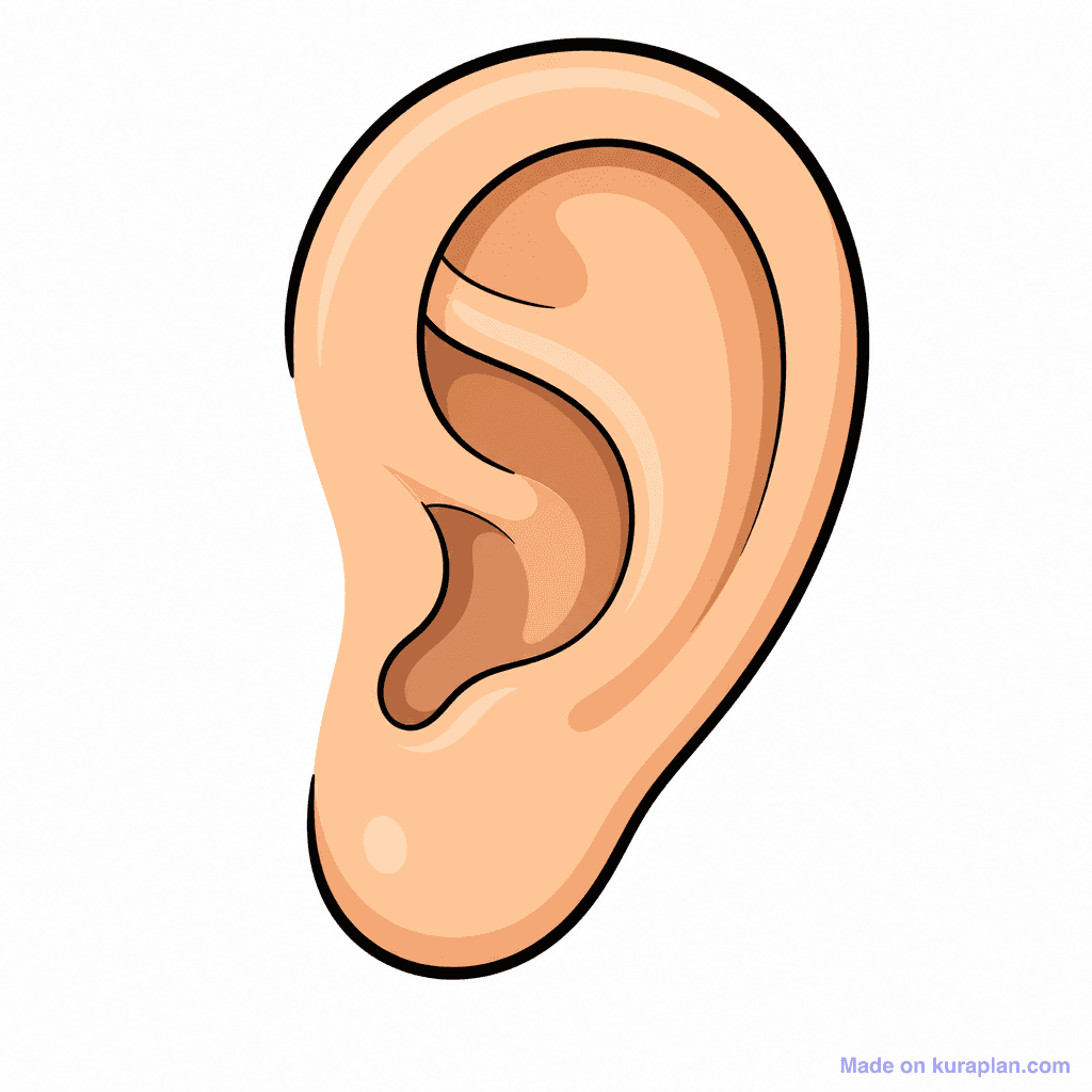 Body Face Ear Closeup