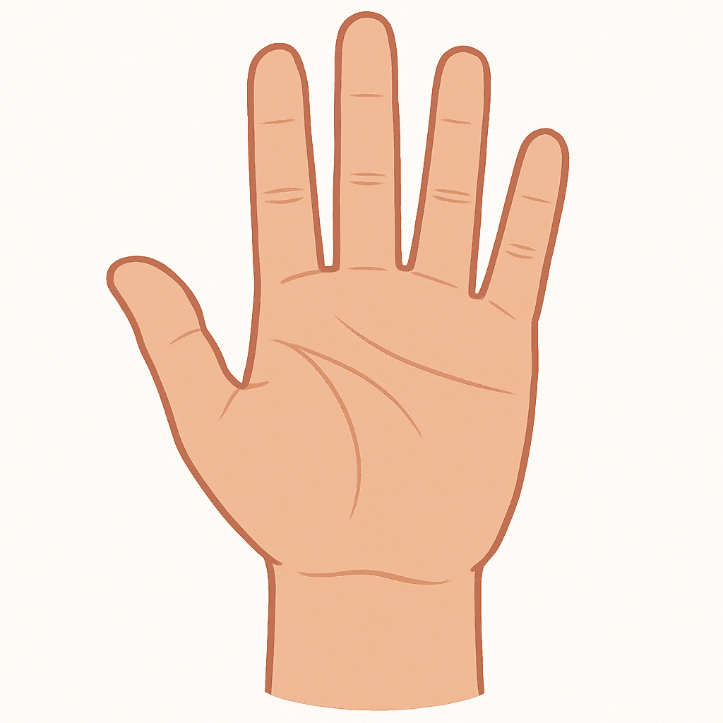 Hand (illustration)