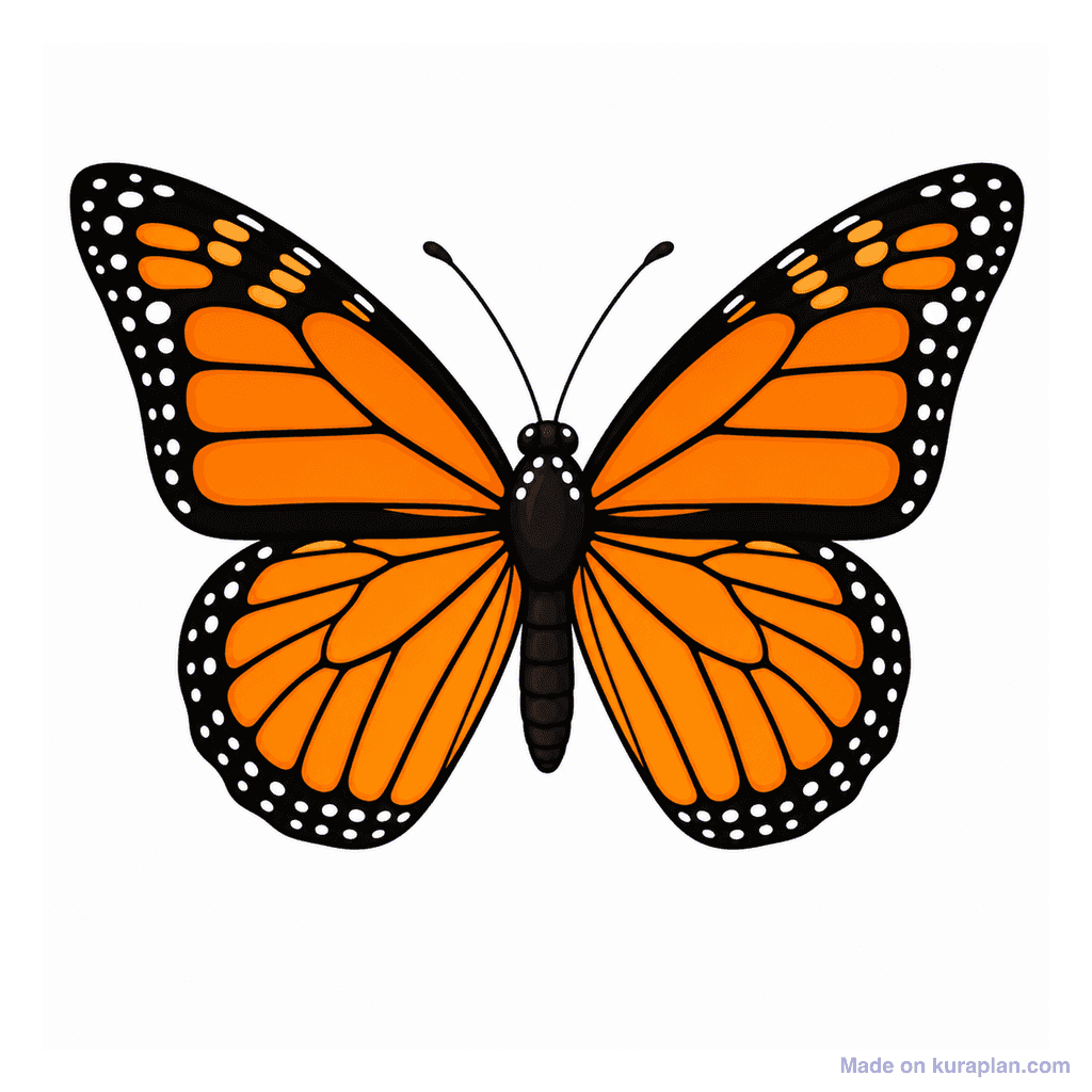 Collection — 1 butterfly