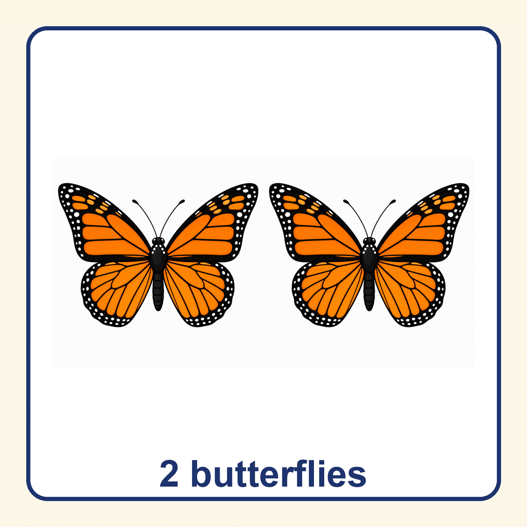 Collection — 2 butterflies