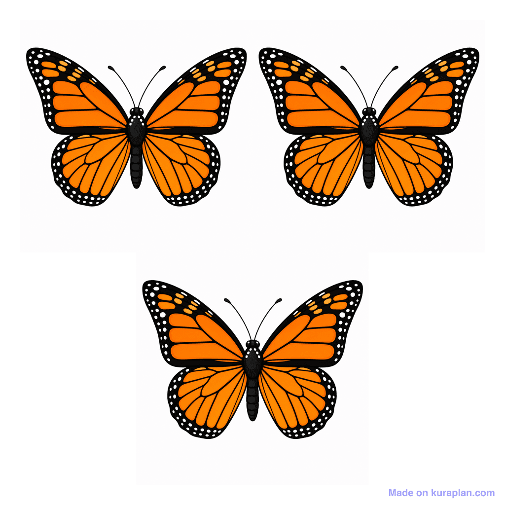 Collection — 3 butterflies