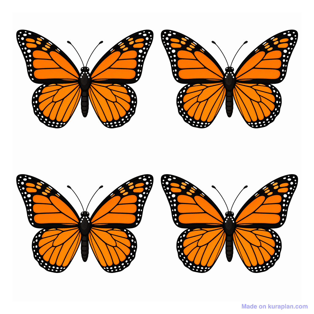 Collection — 4 butterflies