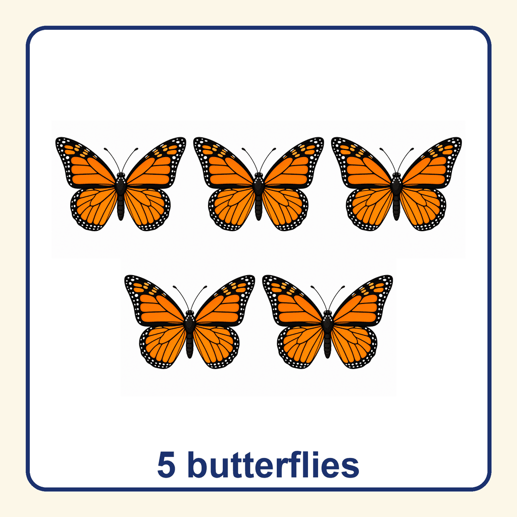 Collection — 5 butterflies