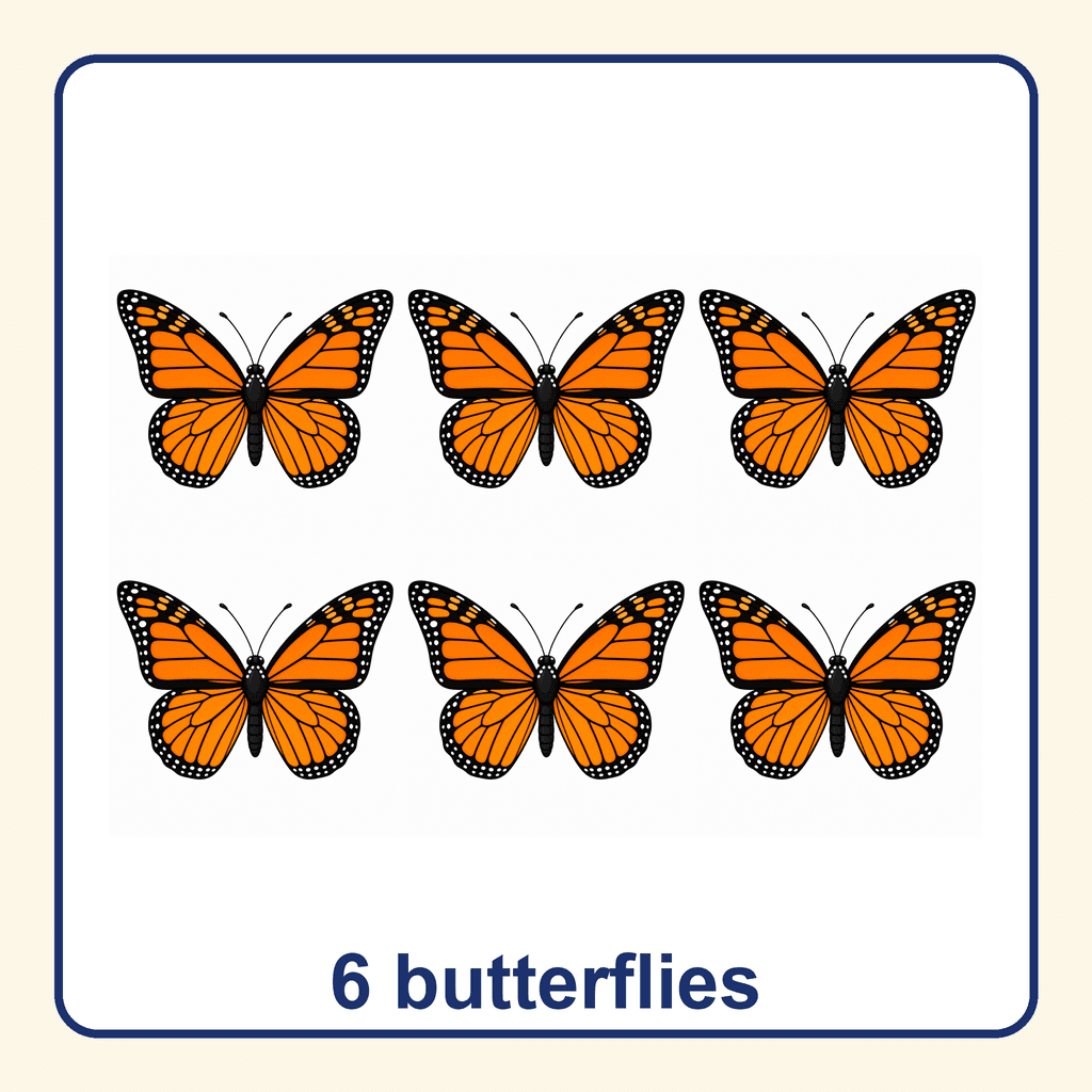 Collection — 6 butterflies