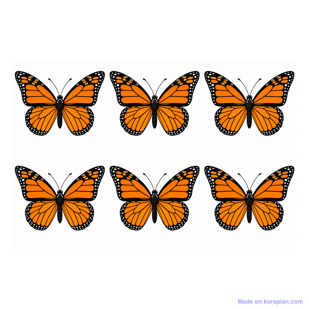 Collection — 6 butterflies