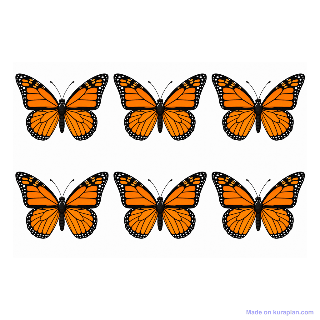 Collection — 6 butterflies