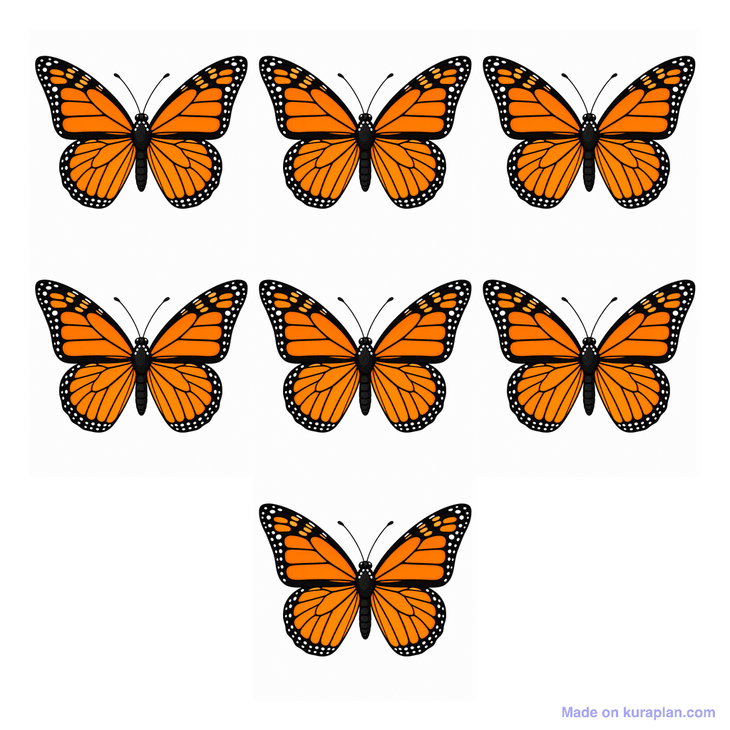 Collection — 7 butterflies