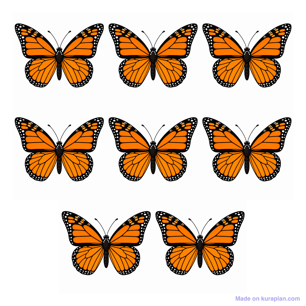 Collection — 8 butterflies