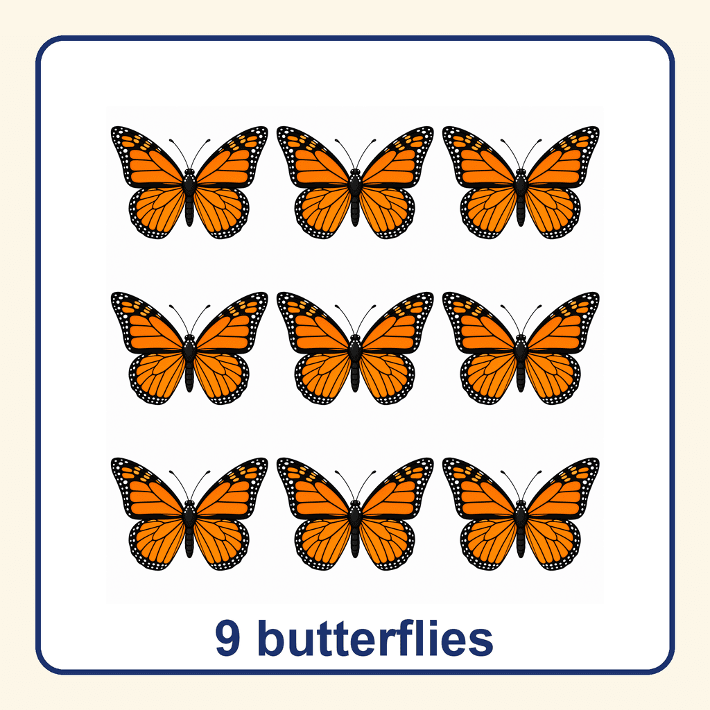 Collection — 9 butterflies