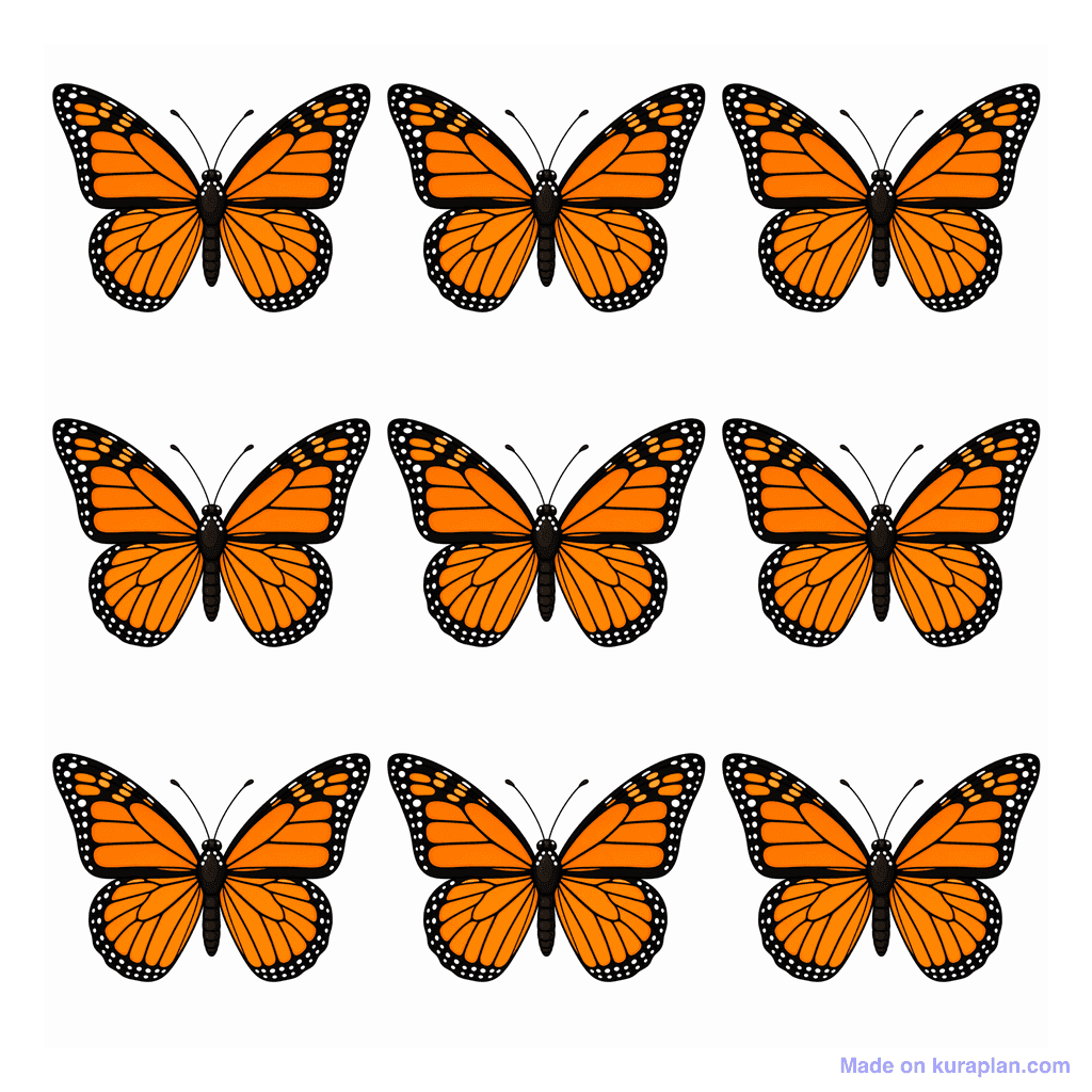 Collection — 9 butterflies