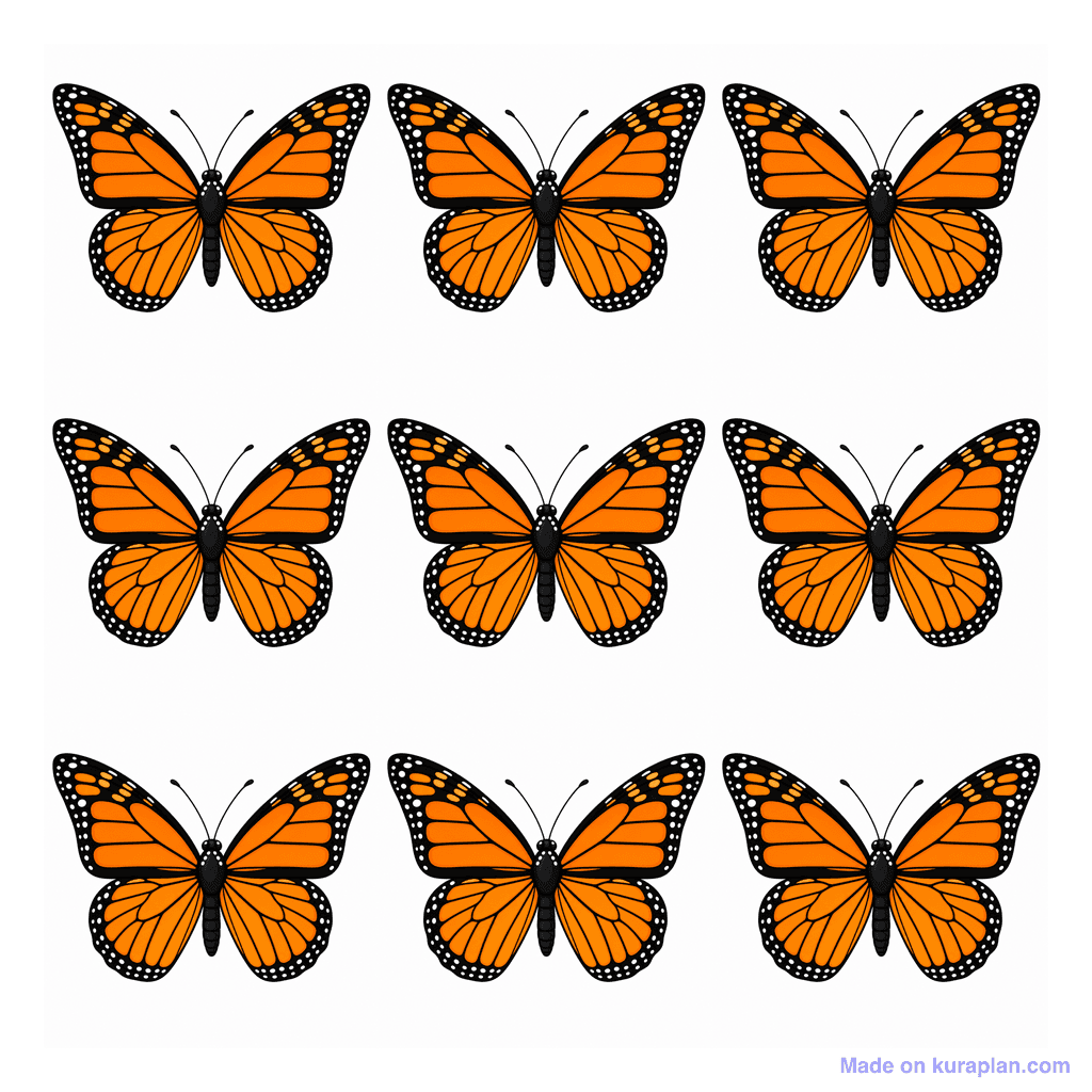 Collection — 9 butterflies