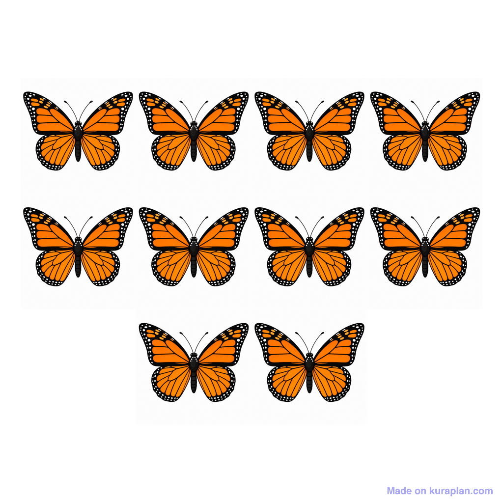 Collection — 10 butterflies