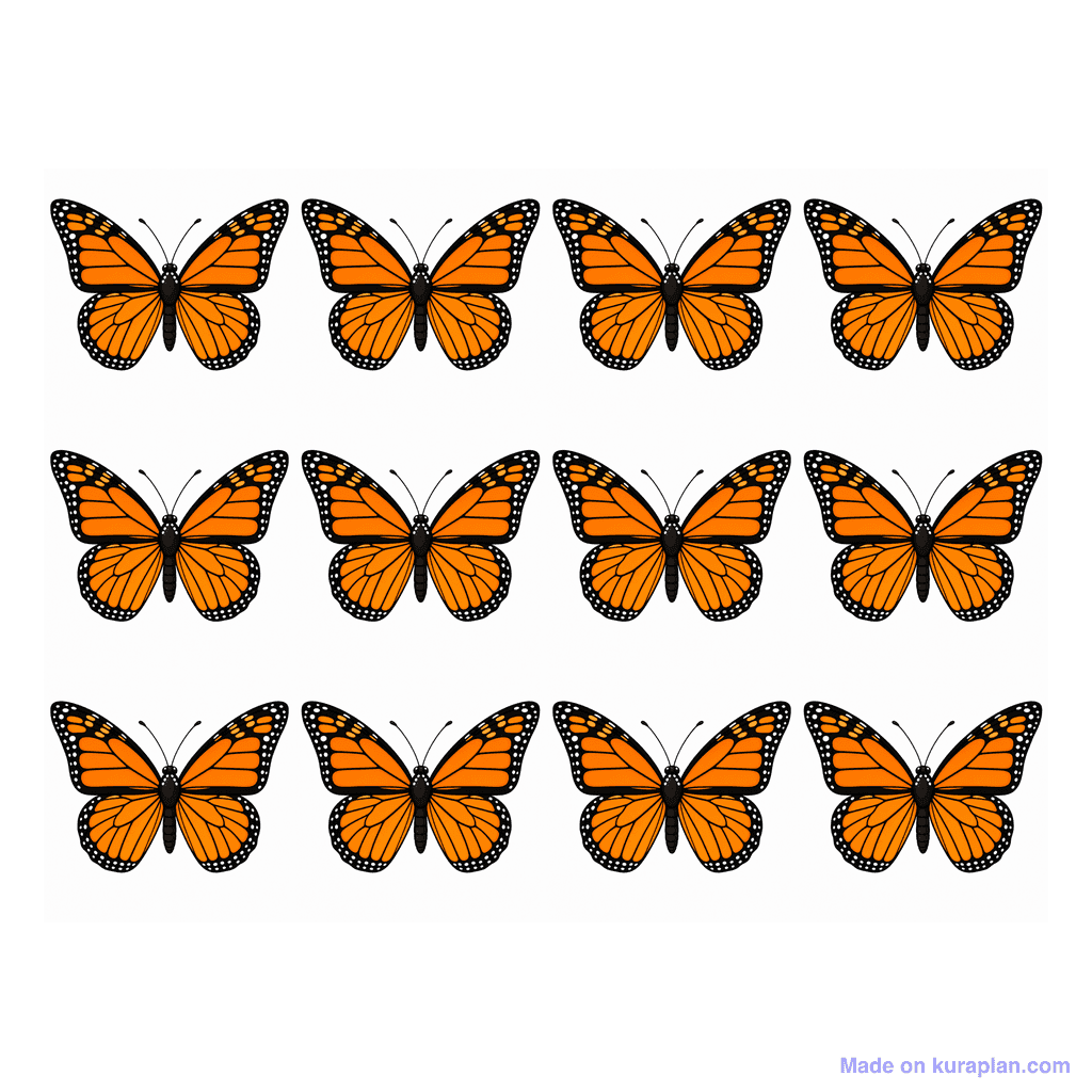 Collection — 12 butterflies