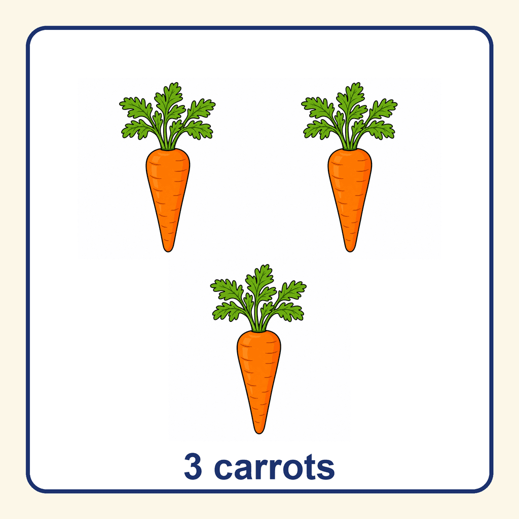 Collection — 3 carrots