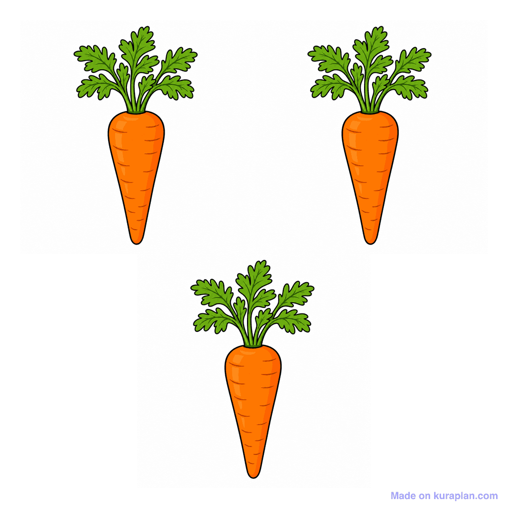 Collection — 3 carrots