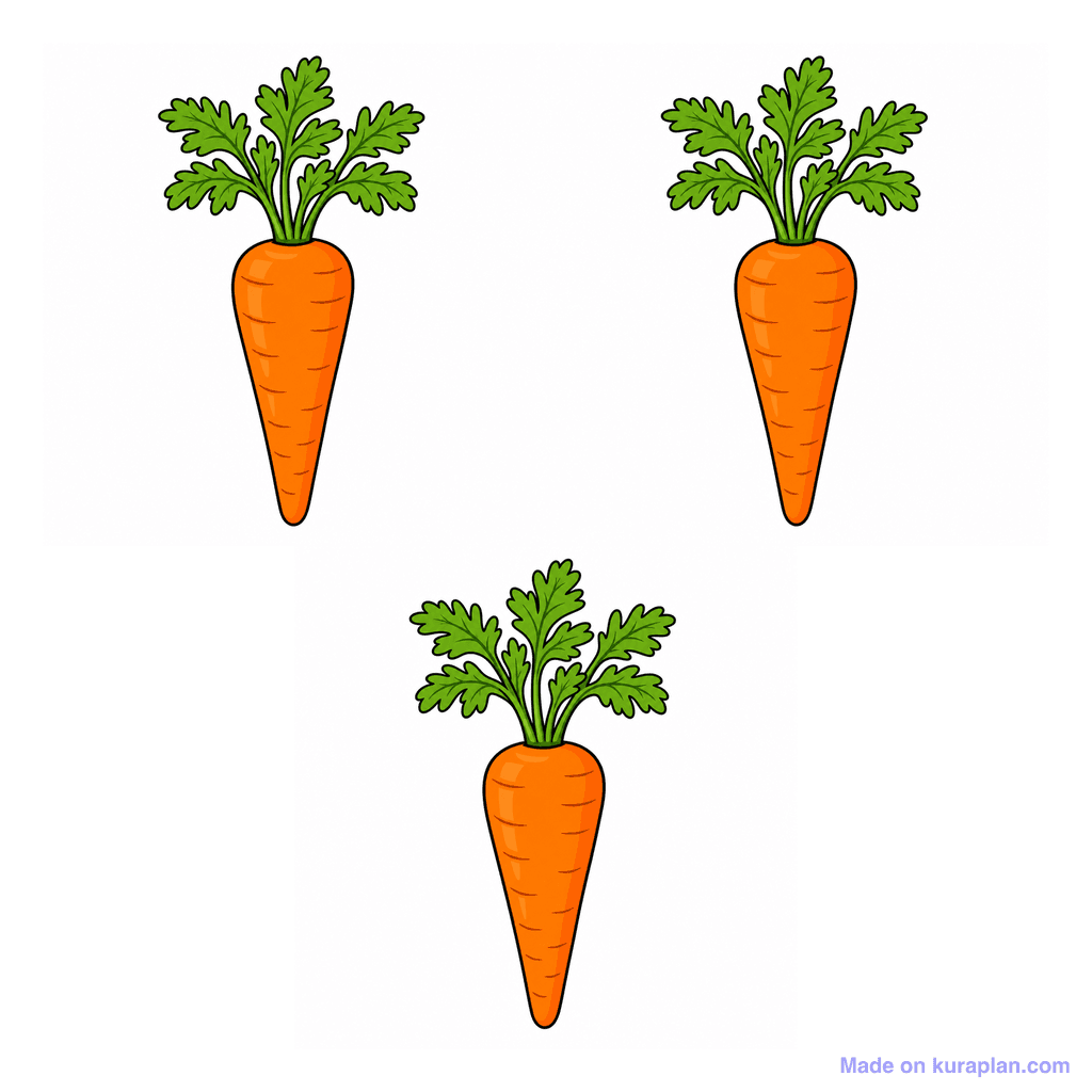 Collection — 3 carrots