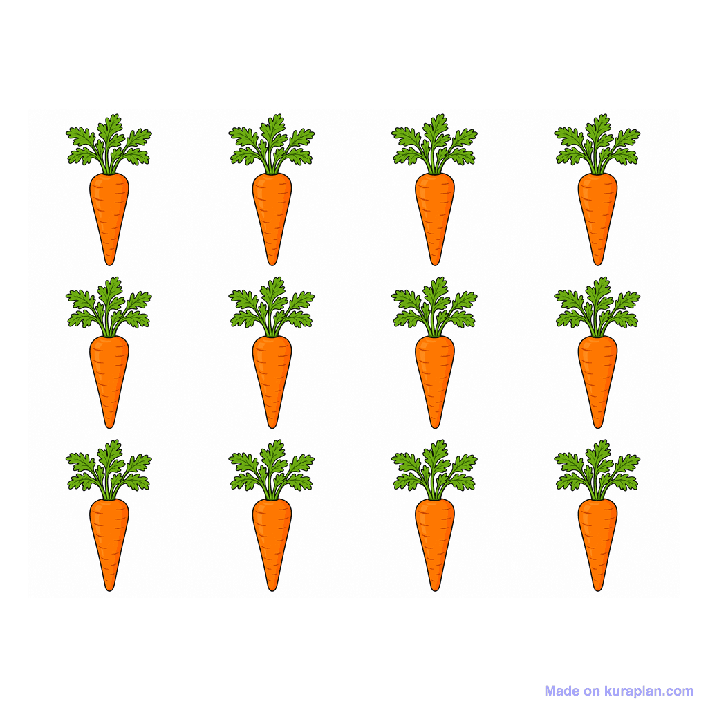 Collection — 12 carrots