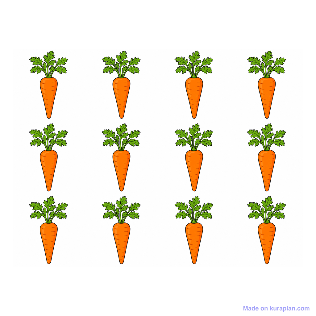 Collection — 12 carrots