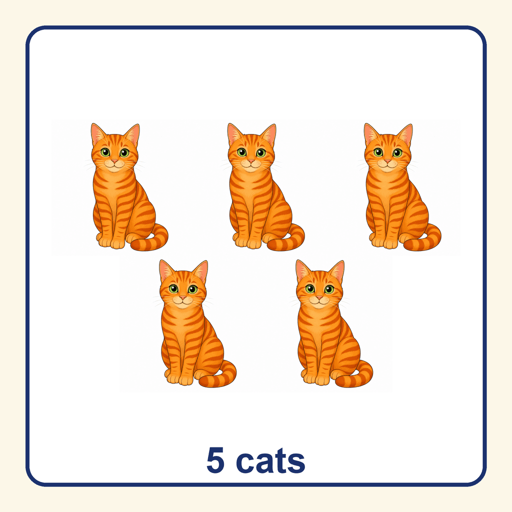 Collection — 5 cats