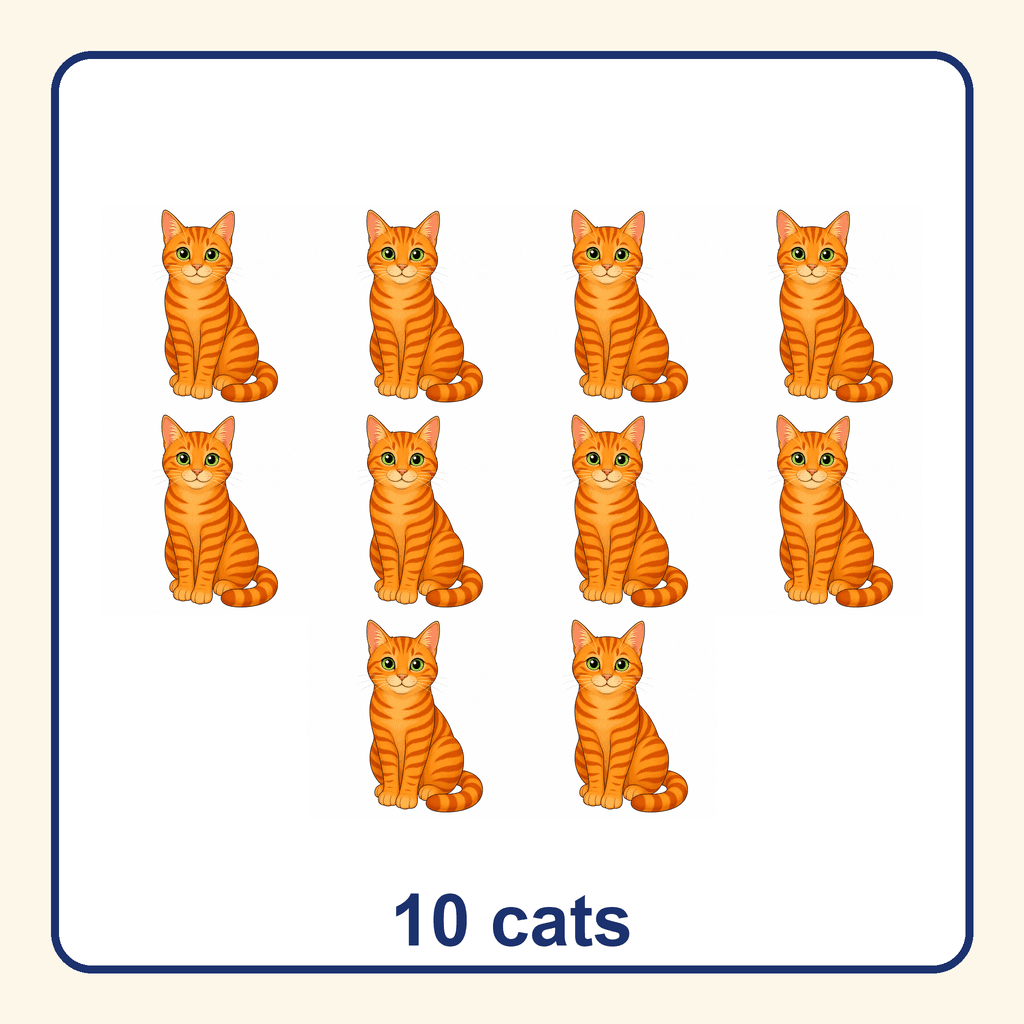 Collection — 10 cats