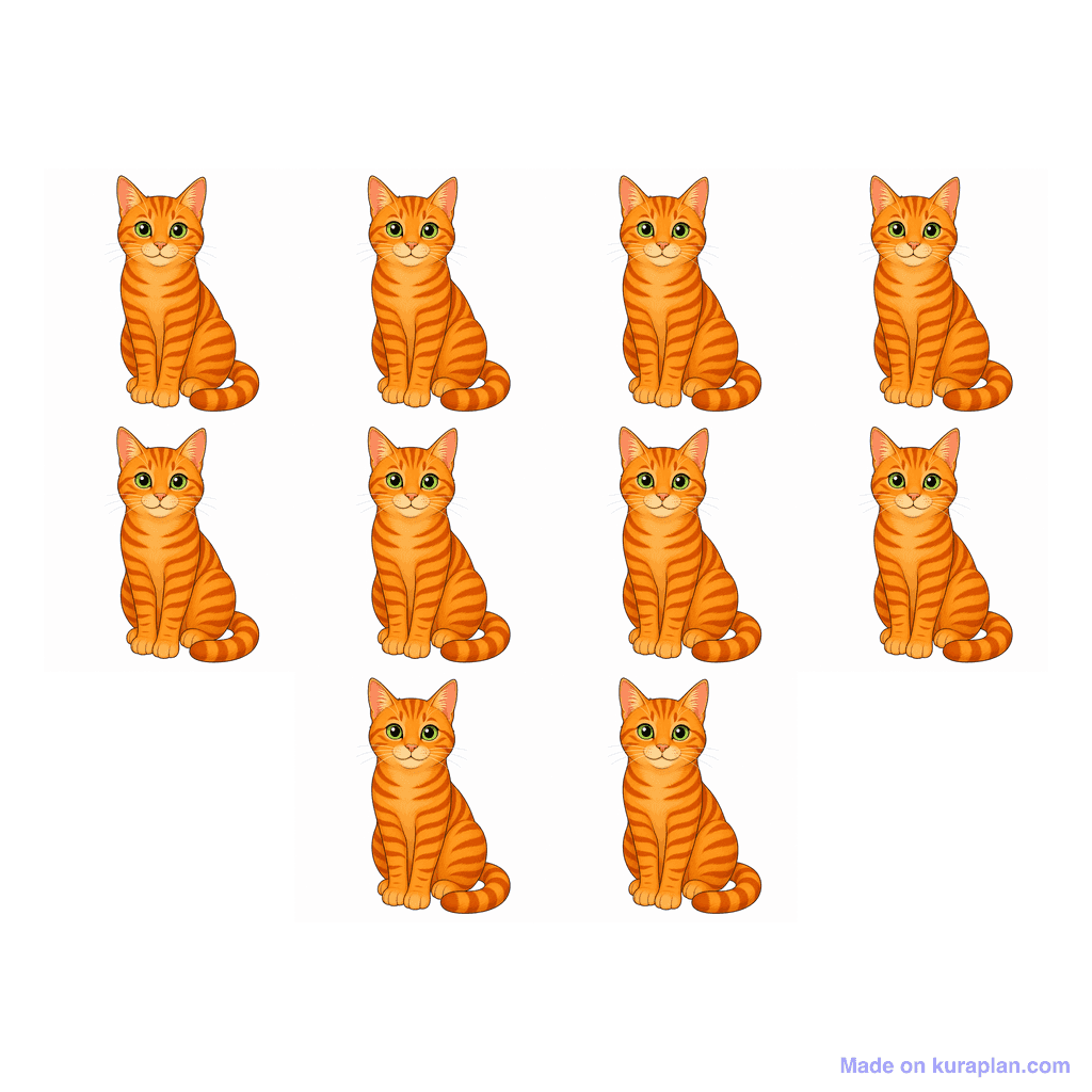 Collection — 10 cats