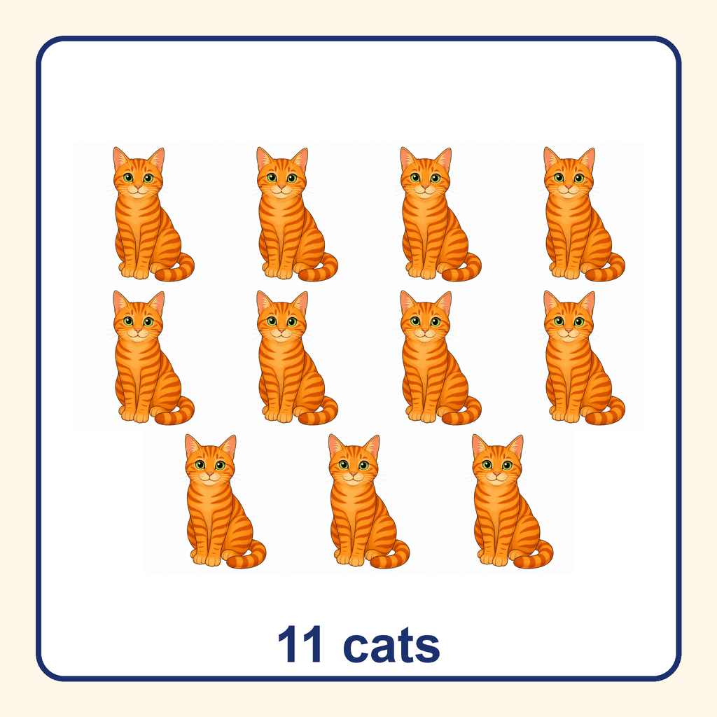 Collection — 11 cats