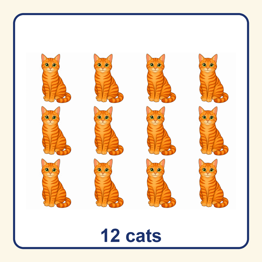 Collection — 12 cats
