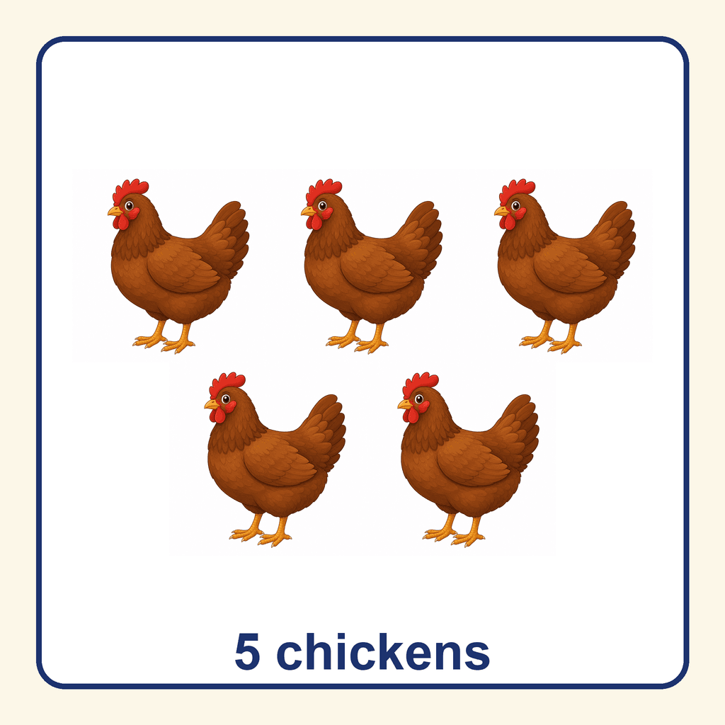 Collection — 5 chickens