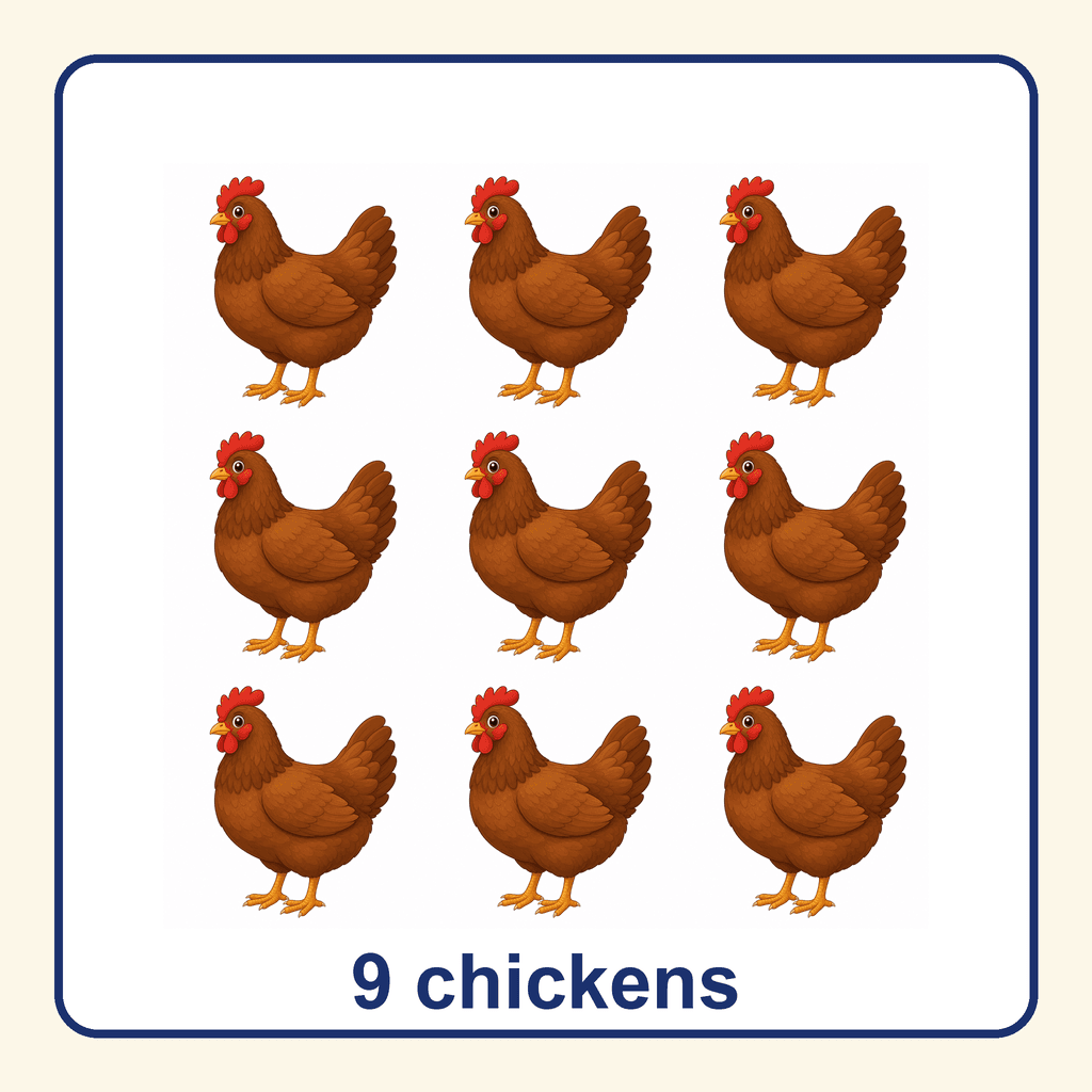 Collection — 9 chickens