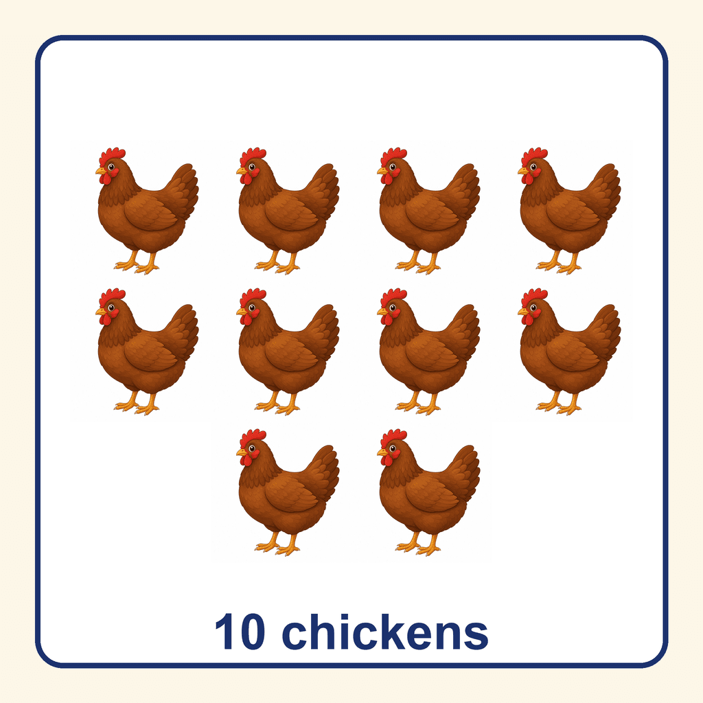 Collection — 10 chickens