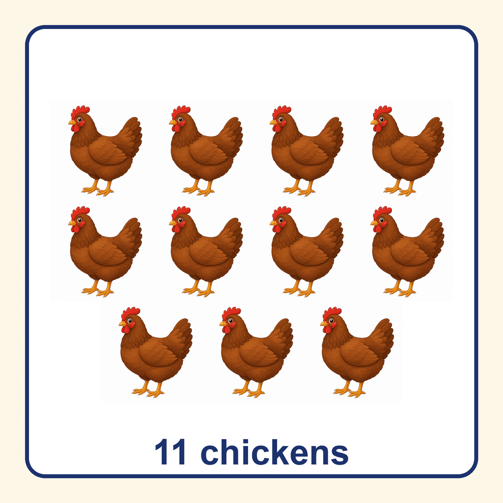 Collection — 11 chickens