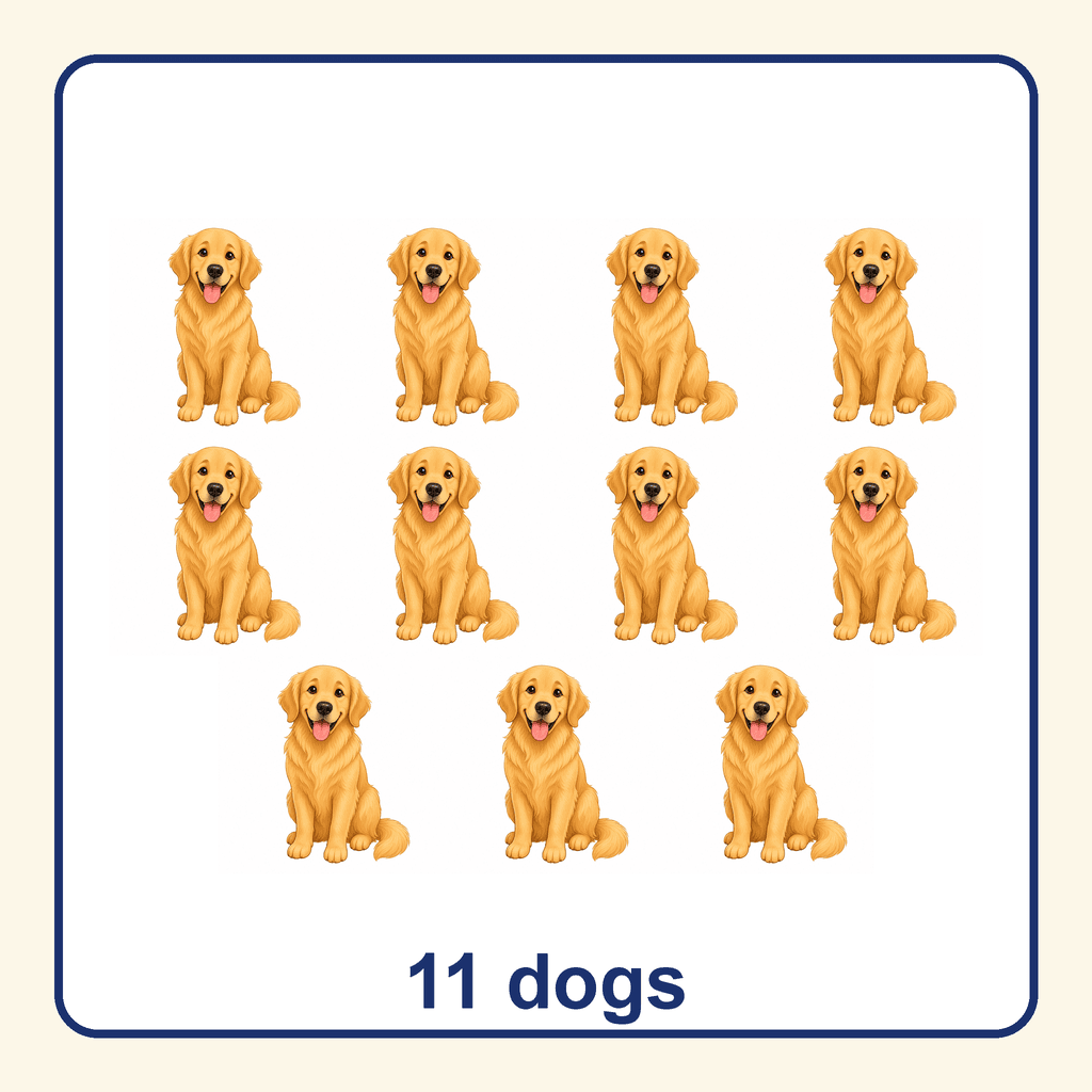 Collection — 11 dogs