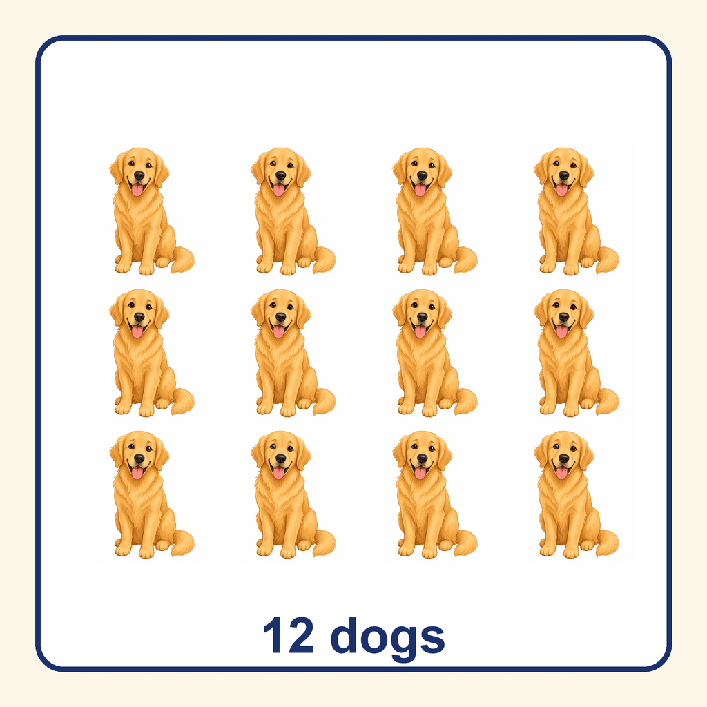 Collection — 12 dogs