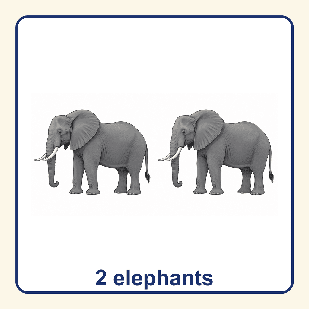 Collection — 2 elephants