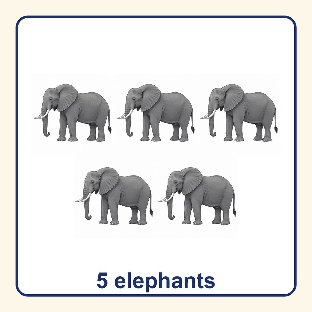 Collection — 5 elephants