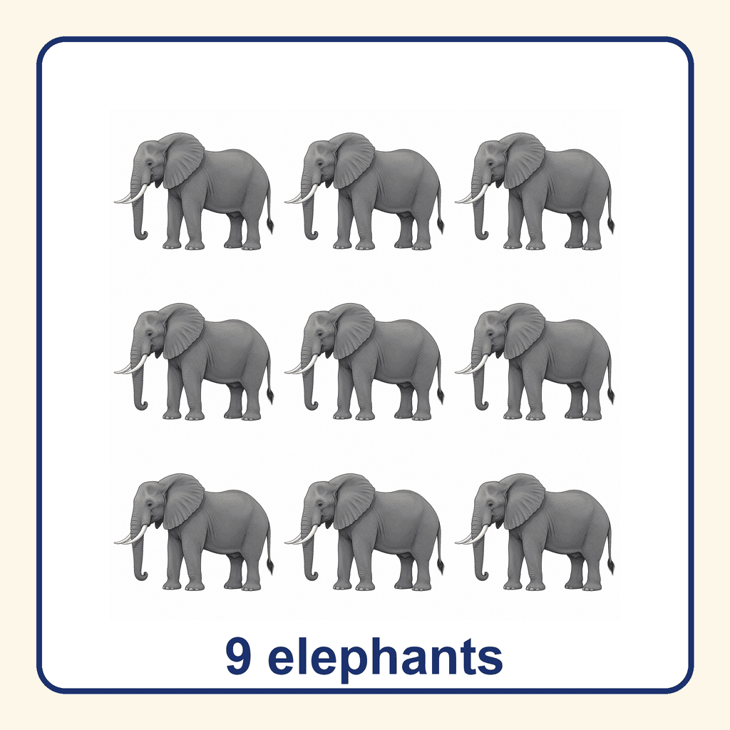 Collection — 9 elephants