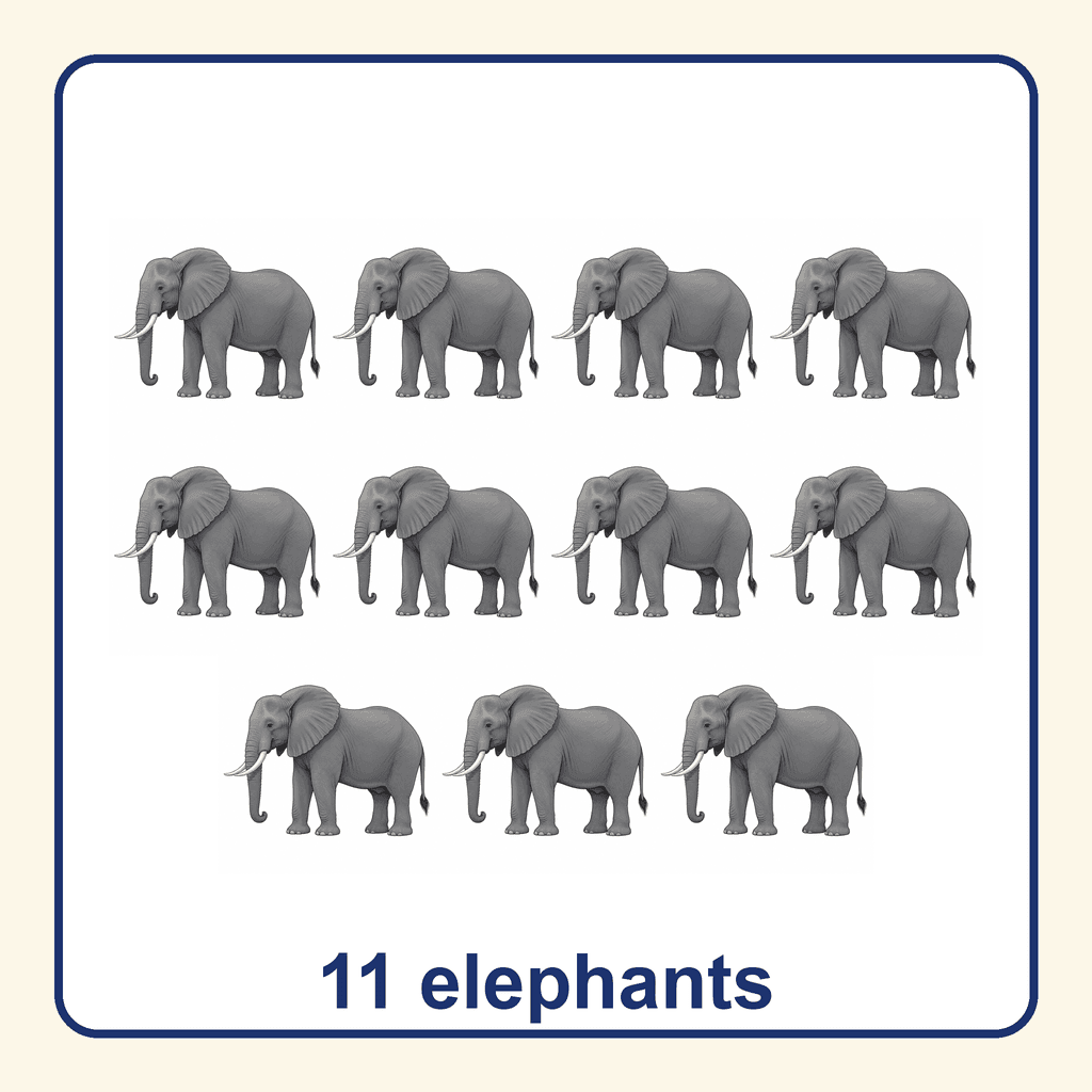 Collection — 11 elephants