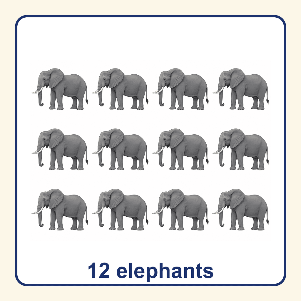 Collection — 12 elephants