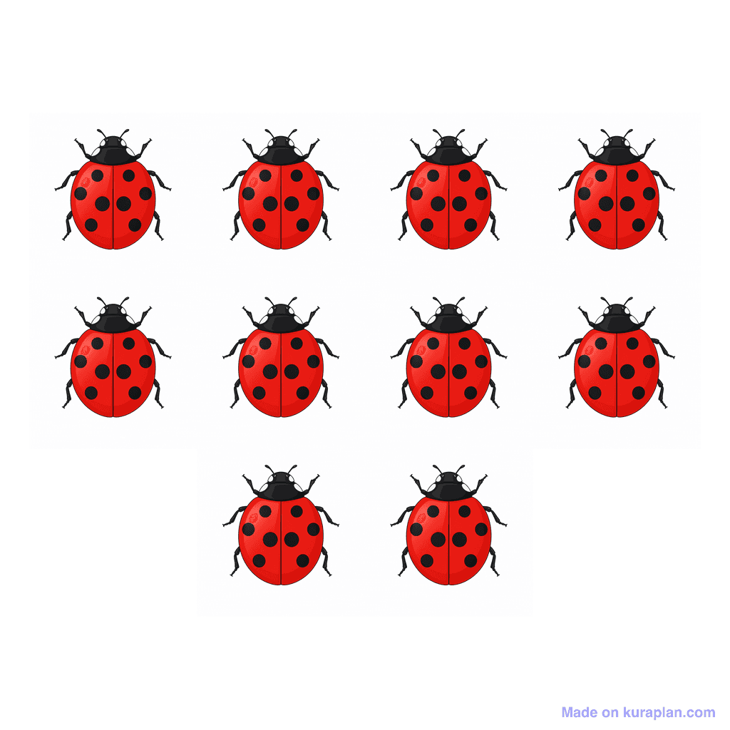 Collection — 10 ladybugs