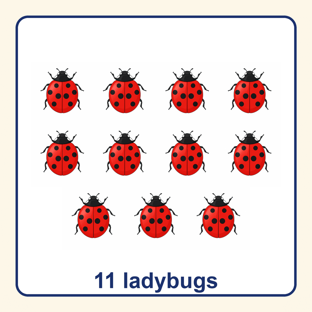 Collection — 11 ladybugs