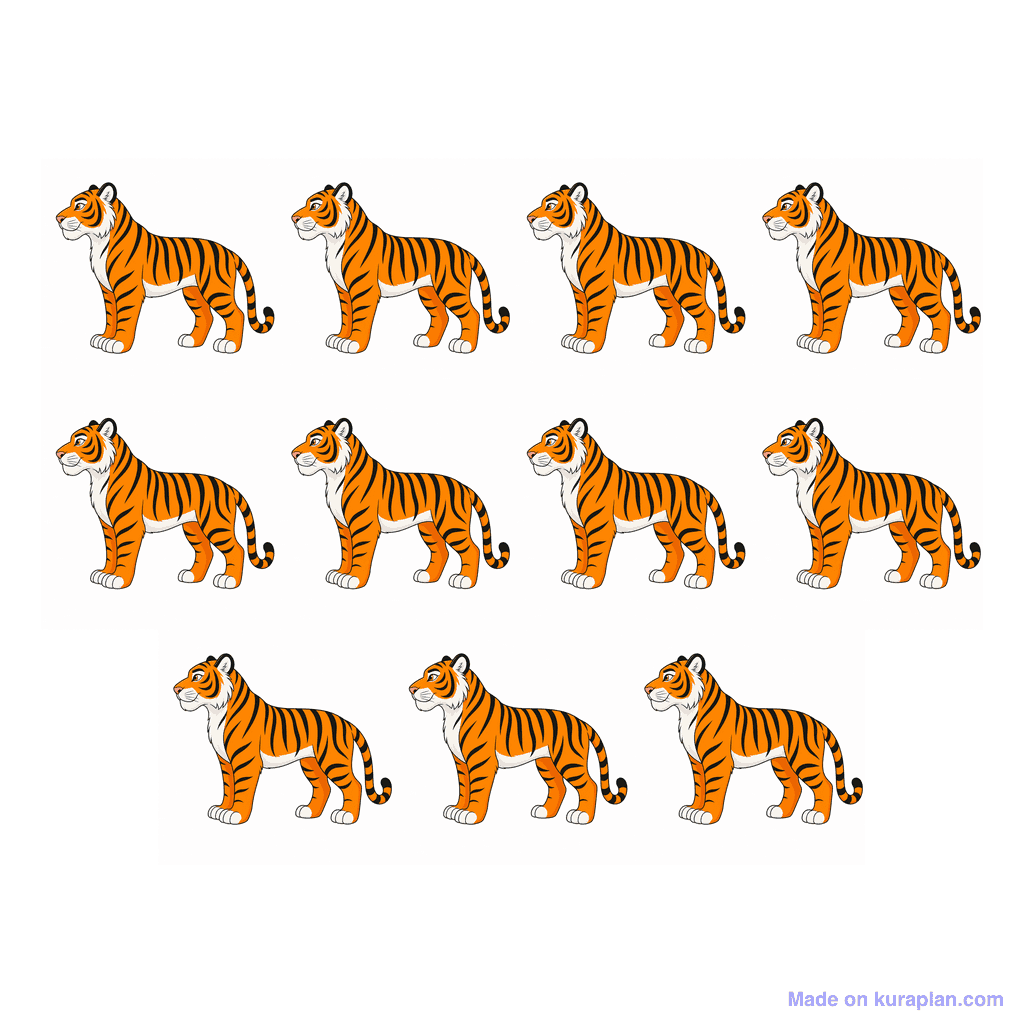 Collection — 11 tigers