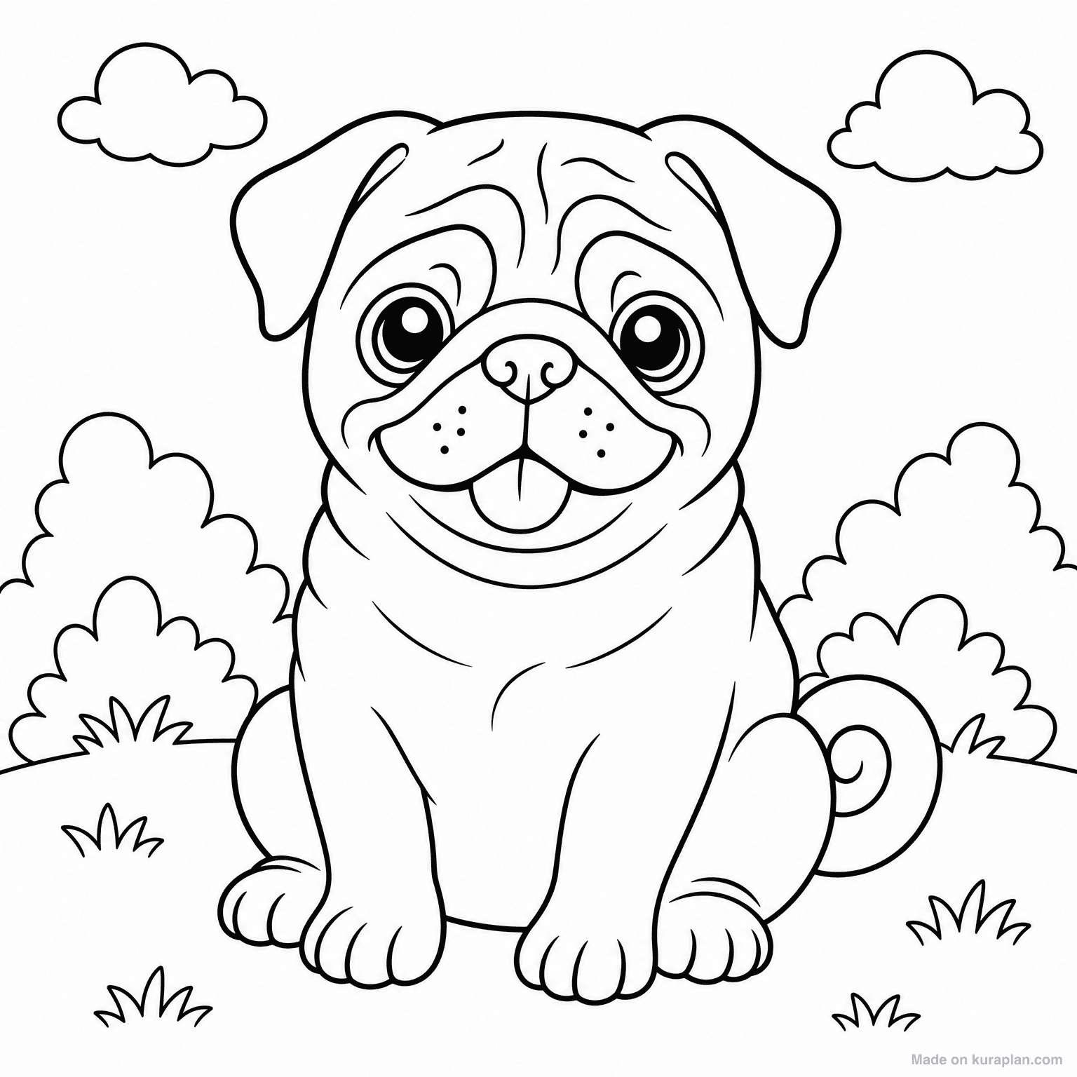 Pug with Curled Tail — Coloring Page