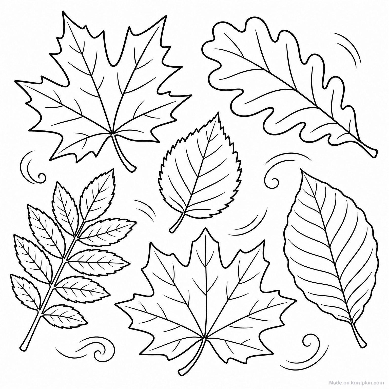 Autumn Leaves Variety — Coloring Page