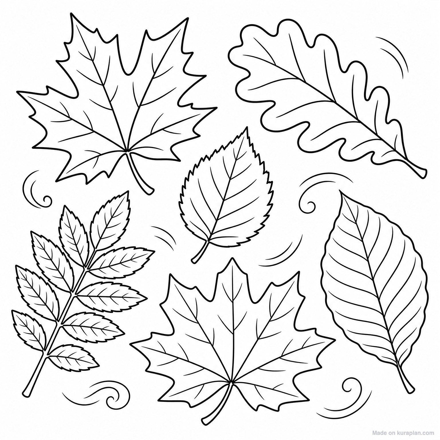Autumn Leaves Variety — Coloring Page