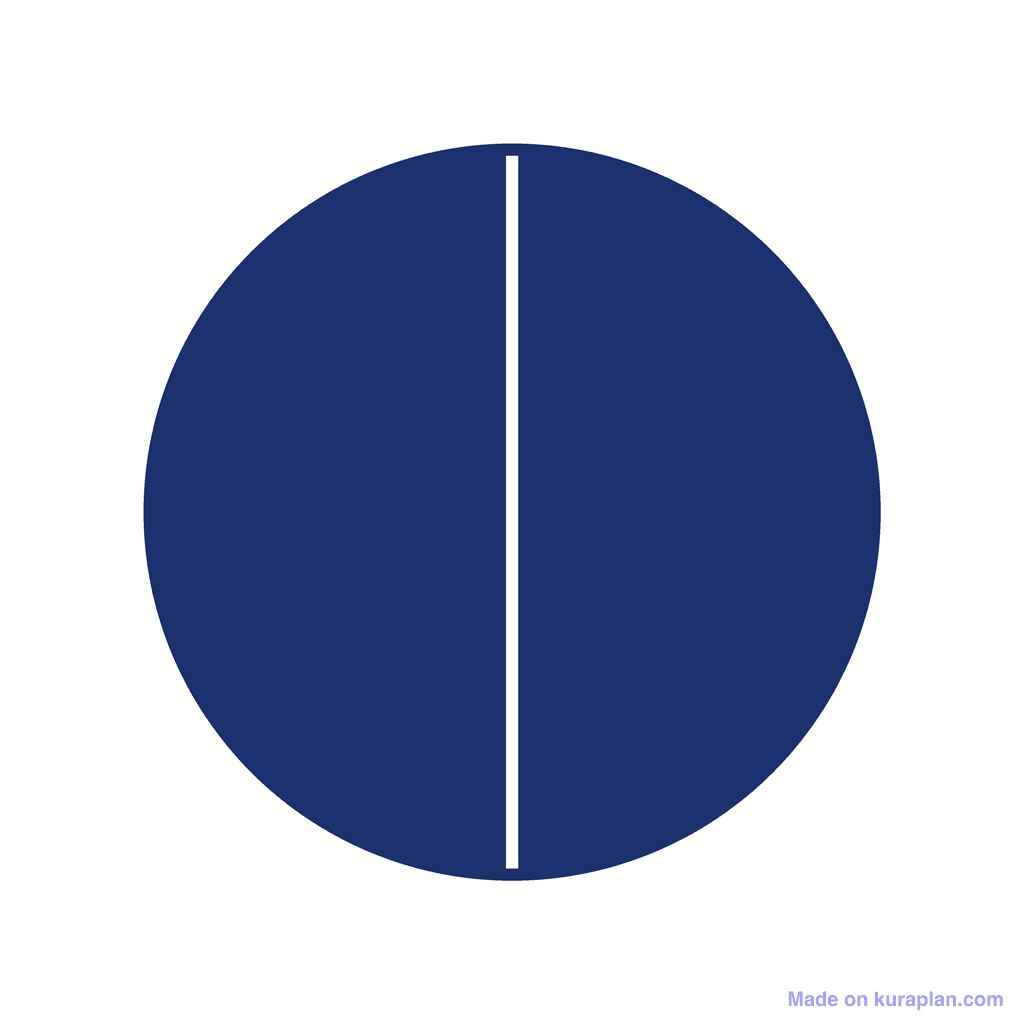 Fraction Circle — 2/2 (one whole)
