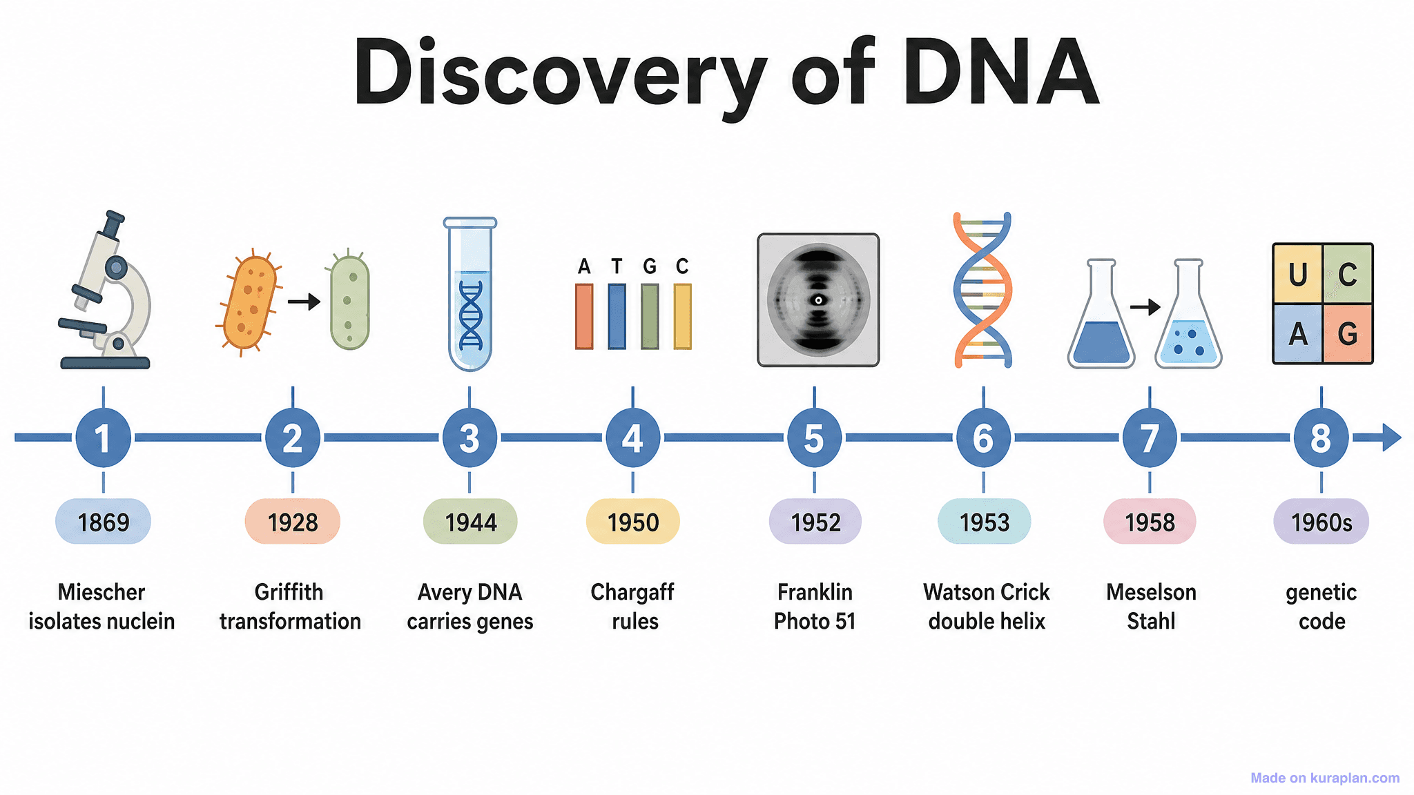 Discovery of DNA Timeline