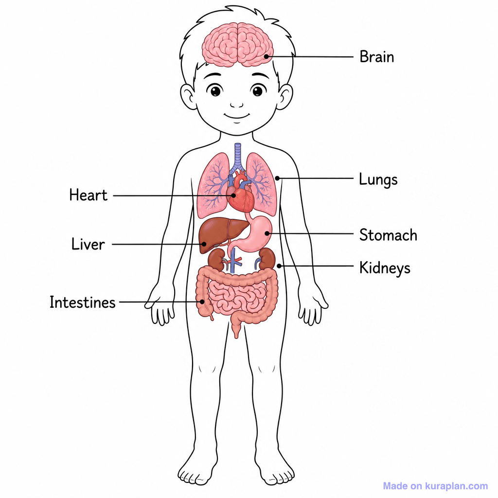 Science classroom illustration sample