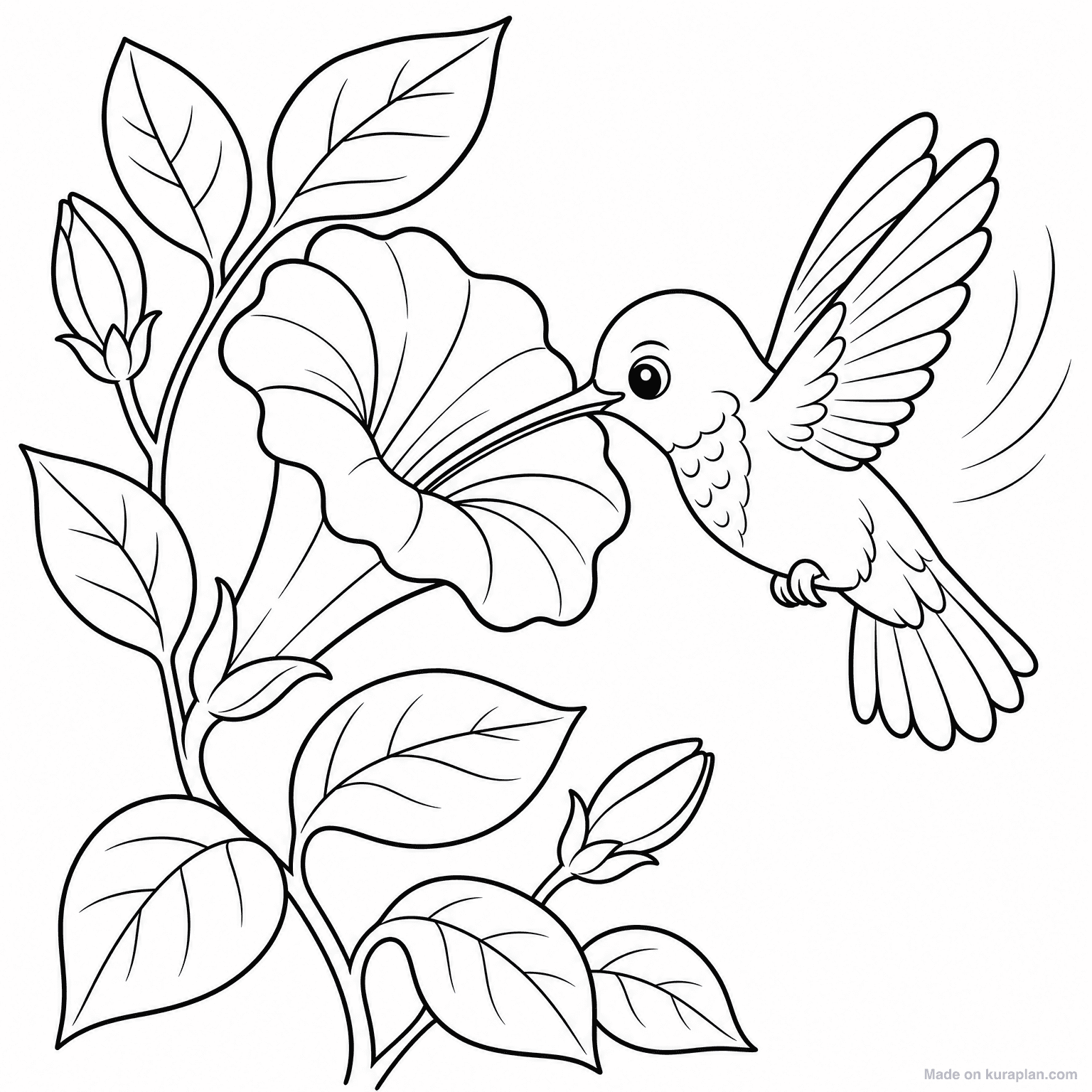 Hummingbird at Flower — Coloring Page