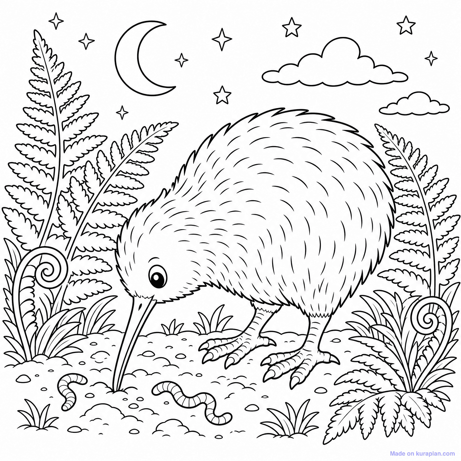 Kiwi Bird (NZ) — Coloring Page